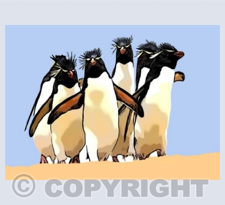 ‘Here Come The Boys’