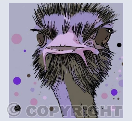 ‘Bad Hair Day’