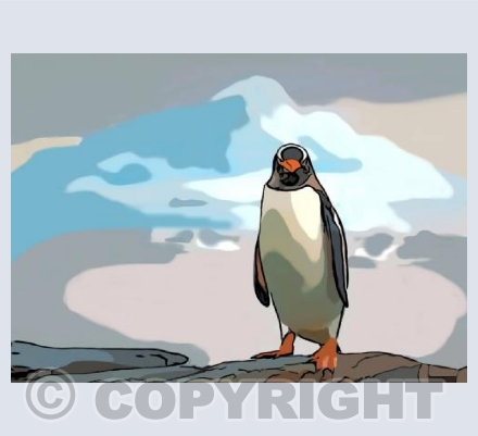‘On The Rocks’