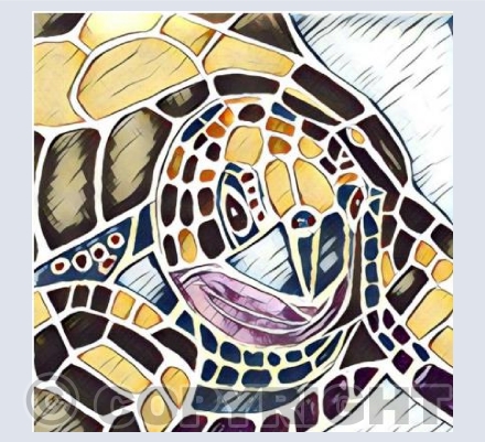 'Sea Turtle'