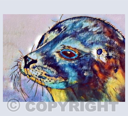 ‘Sammy The Silkie’