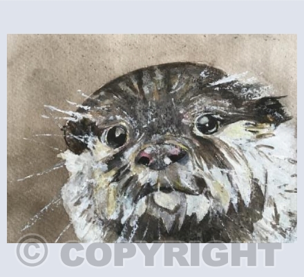 ‘Otto The Otter’