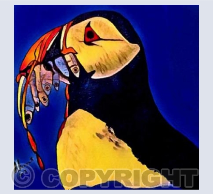 ‘Petroc The Puffin’