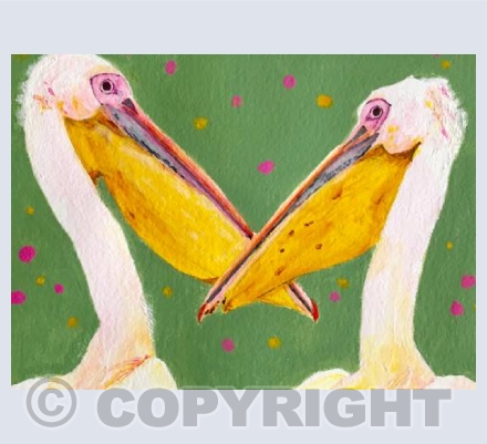 ‘Pelican Party’