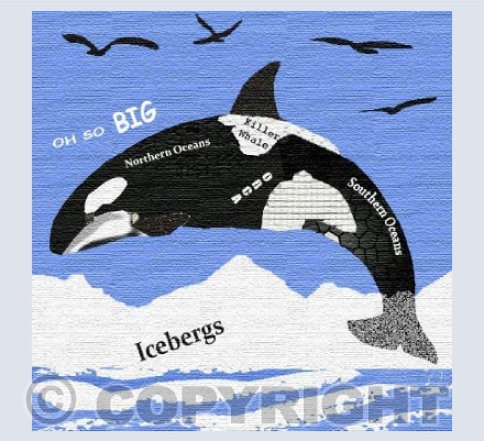 ‘Orca’