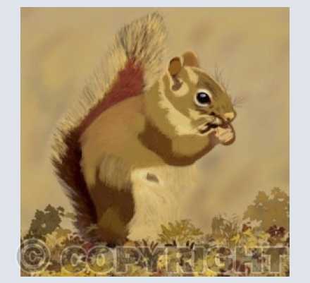 ‘Cyril The Squirrel’