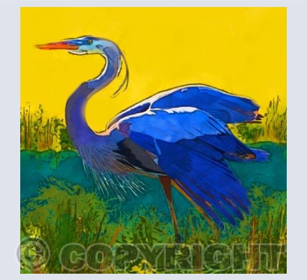 'Blue Heron'