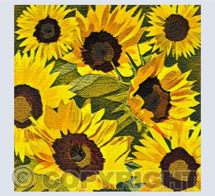 'Textured Sunflowers'