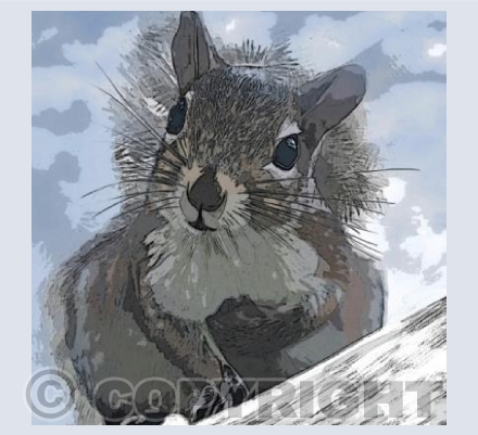 'Winter Squirrel'