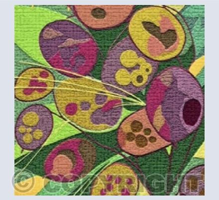 'Texturised Honesty'