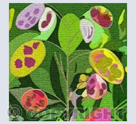 'Texturised Honesty'