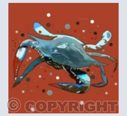 'Spotty Blue Crab'