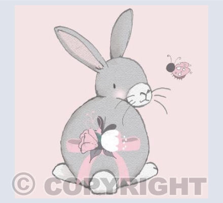 ‘Over The Shoulder Bunny’