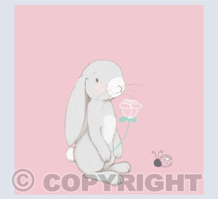 ‘Would You Like My Flower Bunny’