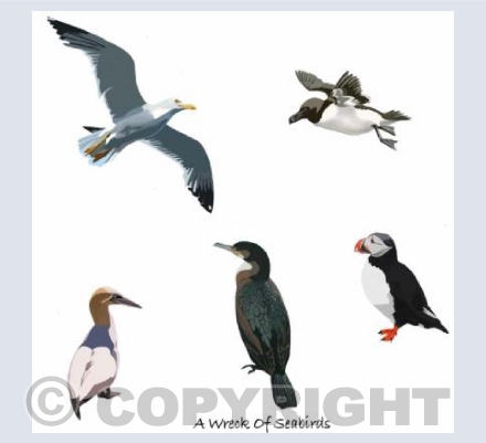 'A Wreck Of Seabirds'