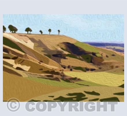 'Roundway Down, Devizes'