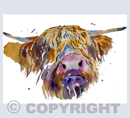 'Hairy Harry Highlander'