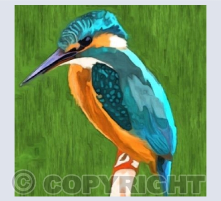 'Kevin The Kingfisher'