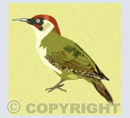 'Woody The Green Woodpecker'
