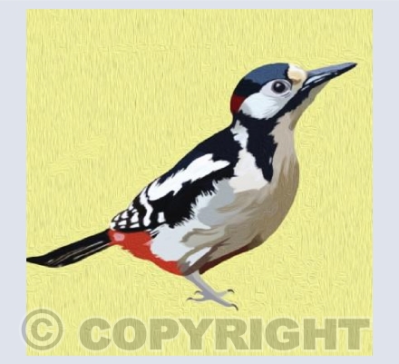 'Gillie The Greater Spotted Woodpecker'