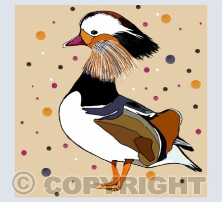 'Spotty Mandarin Duck'