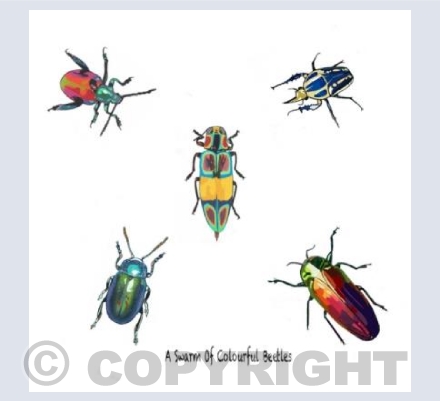 'A Swarm Of Colourful Beetles'