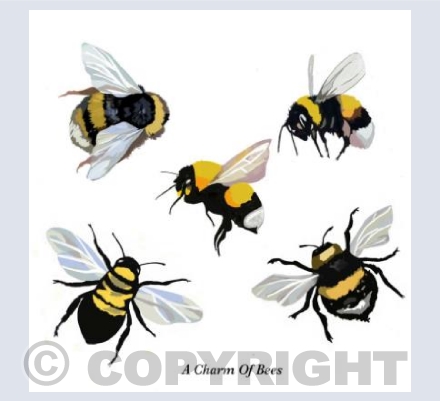 'A Charm Of Bees'