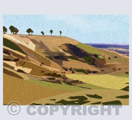 'Roundway Down, Devizes'