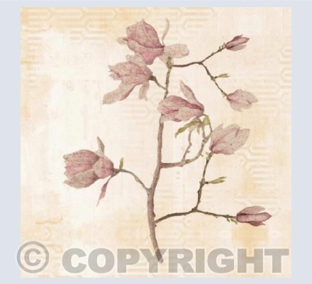 'Fragrant Magnolia Bloom'