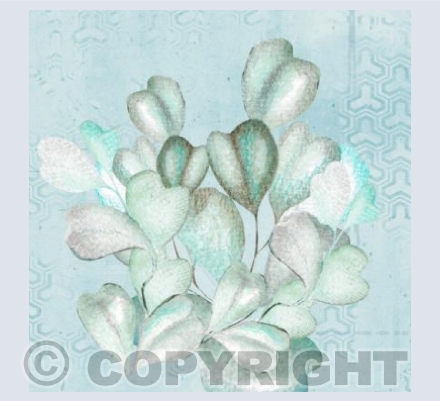'Teal Heartleaf'