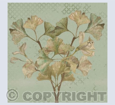 'Eastern Foliage Of The Ginkgo Tree'