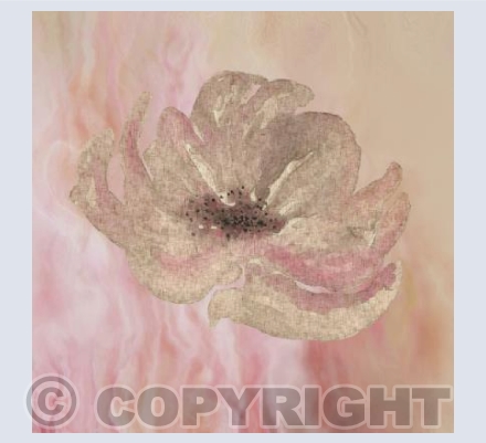 'Sprung In Fields Of Gold'