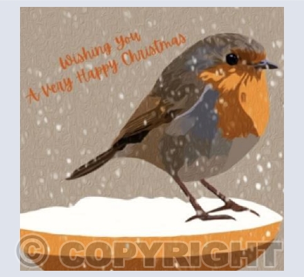 'Christmas Robin'