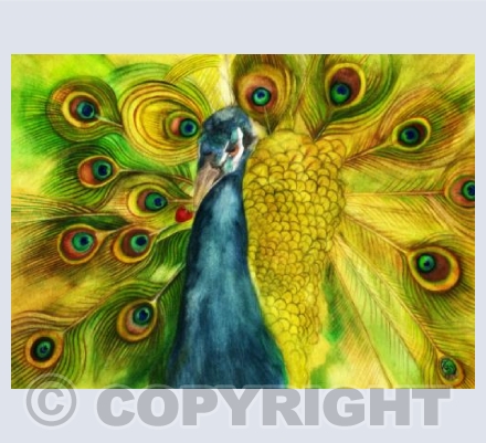 'Peacocks love Strawberries'