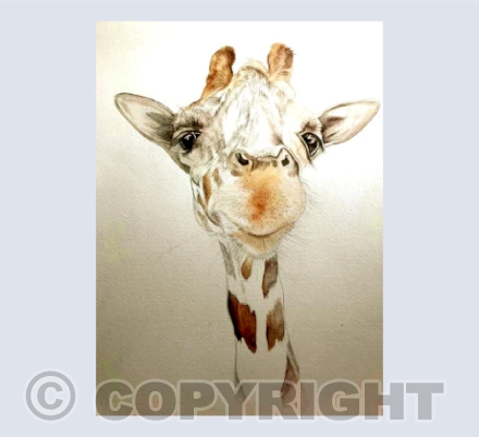 'Giraffe'