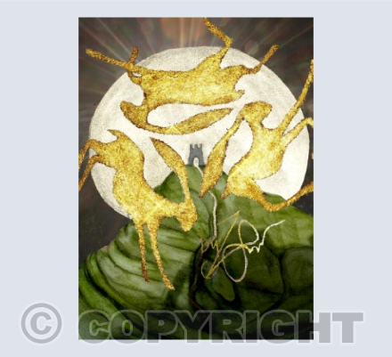 'The Glastonbury 'Forever Hares'