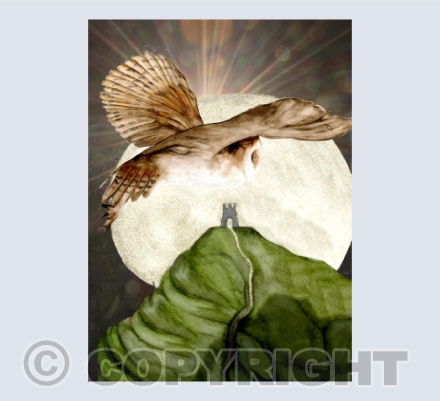 'The Glastonbury Owl