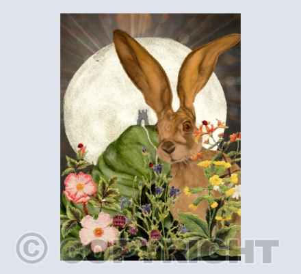 Melangell's Hare visits Glastonbury Tor