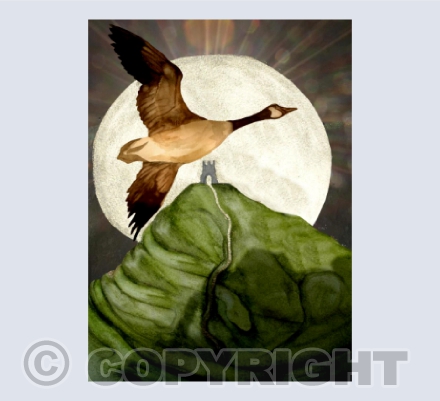 'The Glastonbury Goose'