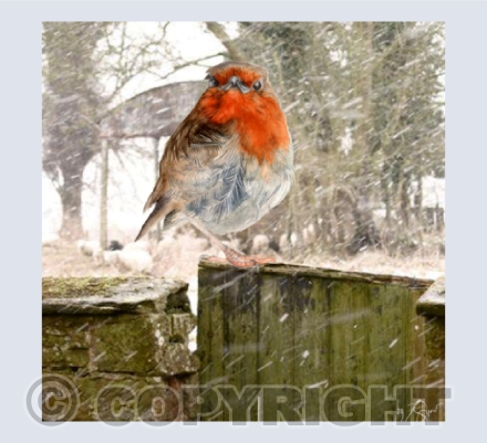 "When Friends Meet, Hearts Warm Robin"