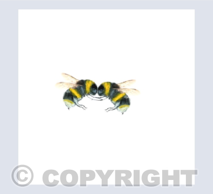 BUMBLEBEES