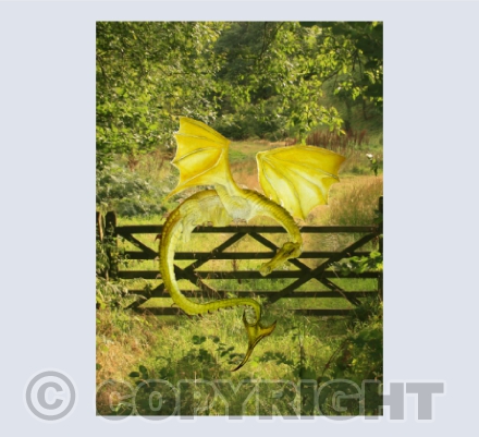 DRAGONS GATE, Tylwch, Mid Wales