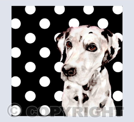 POLKA DOTTY DALMATIAN