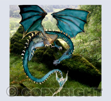 Gwydion at Pennant Melangell