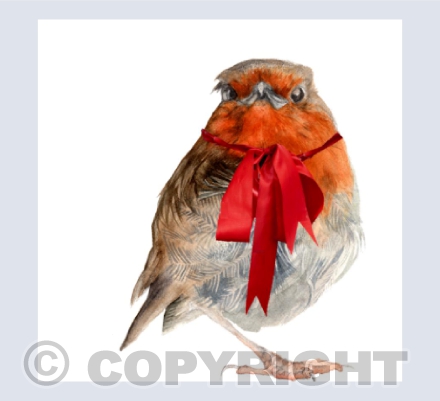 Christmas Robin