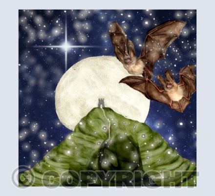Bats in Avalon