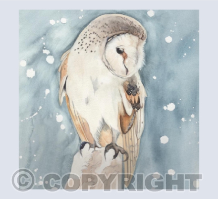 ALL SOULS OWL