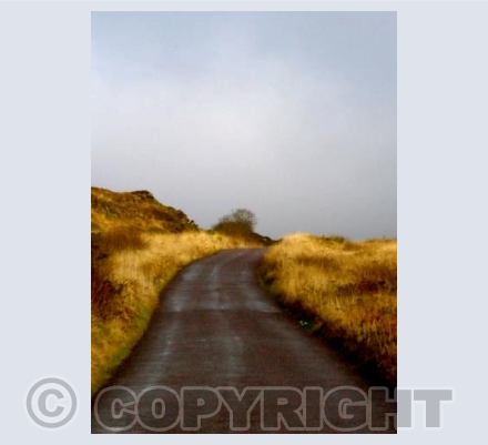 'MOUNTAIN PASS'