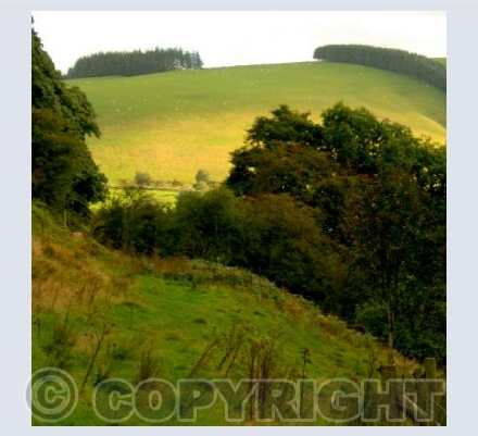 TYWLCH, Nr Llanidloes, Powys WALES