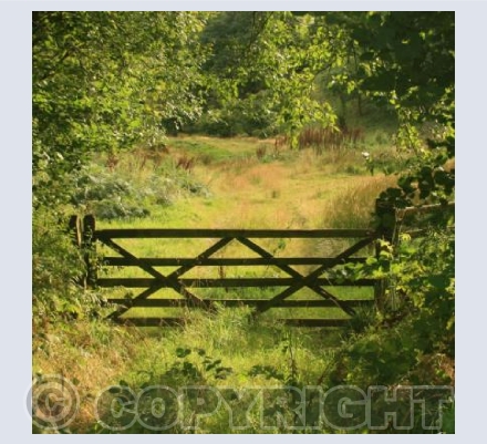 GATEWAY TO TYLWCH 
